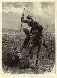Einen Wolf in Indien jagen